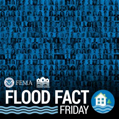 flood fact friday