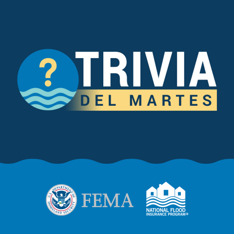 trivia del martes