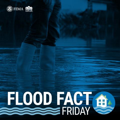 Flood Fact Friday