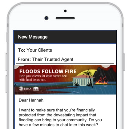 smartphone screenshot email with hawaii imagery