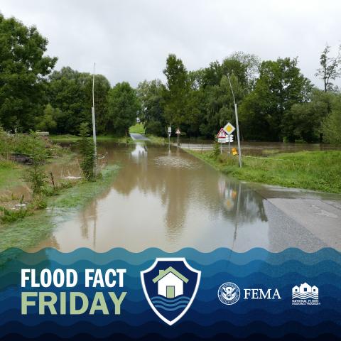 flood fact friday
