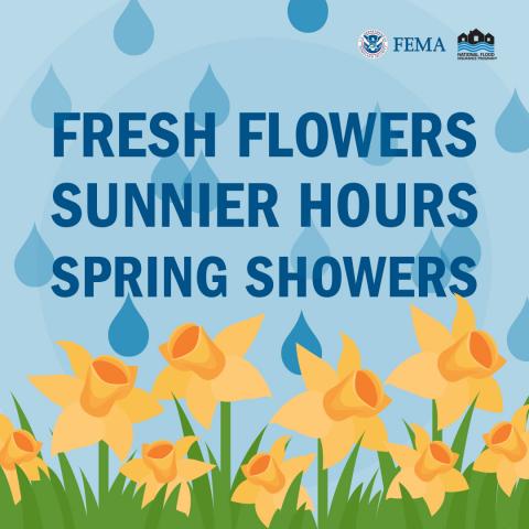 fresh flowers sunnier hours spring showers