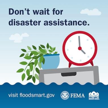 Potted plant and analogue clock sitting on filing cabinet sinking into flood waters. Text: Don't wait for disaster assistance