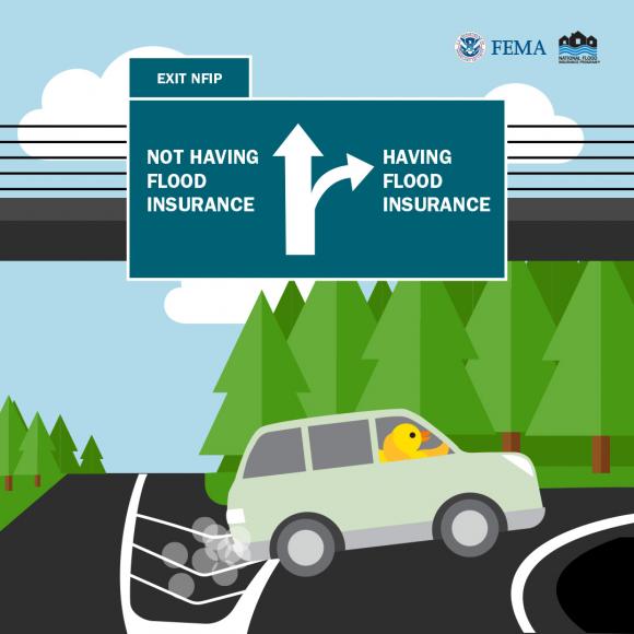 FLIP the duck in a car on the highway heading towards flood insurance