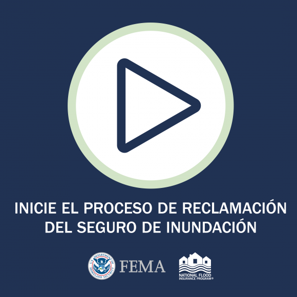 Inicie el Proceso