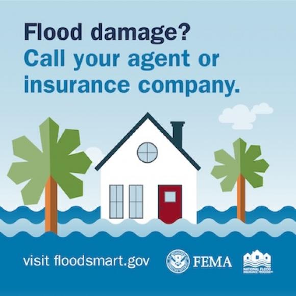 Flooded house with palm trees. Text: Flood damage? Call your agent or flood insurance company.