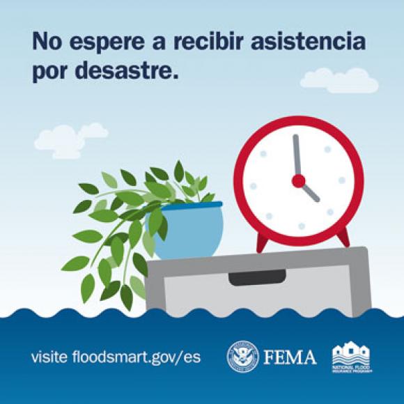 Reloj y planta sentados en un archivador hundiéndose en el agua de la inundación