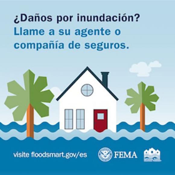 Una casa blanca con una puerta roja está entre dos palmeras, rodeada de agua de inundación bajo un cielo azul con nubes.